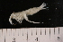  ( - ESL09T28-01)  @13 [ ] CreativeCommons - Attribution (2010) Unspecified Centre for Biodiversity Genomics