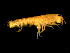  ( - FL012-1)  @11 [ ] CreativeCommons - Attribution (2010) Unspecified Centre for Biodiversity Genomics