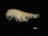  ( - JLPPMV-03)  @14 [ ] CreativeCommons - Attribution (2013) CBG Photography Group Centre for Biodiversity Genomics