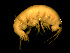  ( - L158AR1-05)  @13 [ ] CreativeCommons - Attribution (2010) Unspecified Centre for Biodiversity Genomics