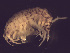  ( - L90AR5-08)  @12 [ ] CreativeCommons - Attribution (2010) Unspecified Centre for Biodiversity Genomics