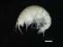  ( - NORKA-06)  @11 [ ] CreativeCommons - Attribution (2010) Unspecified Centre for Biodiversity Genomics