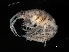  ( - PEI08D2-02)  @13 [ ] CreativeCommons - Attribution (2010) Unspecified Centre for Biodiversity Genomics