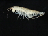 ( - TAL0025-04)  @13 [ ] CreativeCommons - Attribution (2010) Unspecified Centre for Biodiversity Genomics