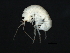  ( - TAL0025-05)  @13 [ ] CreativeCommons - Attribution (2010) Unspecified Centre for Biodiversity Genomics