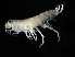  ( - TALBHGE-04)  @11 [ ] CreativeCommons - Attribution (2010) Unspecified Centre for Biodiversity Genomics