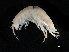  ( - TALBHGE-05)  @11 [ ] CreativeCommons - Attribution (2010) Unspecified Centre for Biodiversity Genomics
