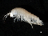  ( - TALBHGE-06)  @11 [ ] CreativeCommons - Attribution (2010) Unspecified Centre for Biodiversity Genomics