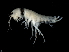  ( - TALFLDS-05)  @13 [ ] CreativeCommons - Attribution (2010) Unspecified Centre for Biodiversity Genomics
