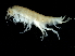  ( - TALMSBX-01)  @11 [ ] CreativeCommons - Attribution (2010) Unspecified Centre for Biodiversity Genomics