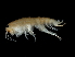  ( - TALMSBX-02)  @13 [ ] CreativeCommons - Attribution (2010) Unspecified Centre for Biodiversity Genomics