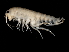  ( - TALMSBX-03)  @11 [ ] CreativeCommons - Attribution (2010) Unspecified Centre for Biodiversity Genomics