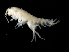  ( - TALMSBX-04)  @11 [ ] CreativeCommons - Attribution (2010) Unspecified Centre for Biodiversity Genomics