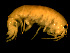  ( - TALOS01-21)  @13 [ ] CreativeCommons - Attribution (2010) Unspecified Centre for Biodiversity Genomics