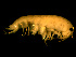  ( - TALOS01-23)  @13 [ ] CreativeCommons - Attribution (2010) Unspecified Centre for Biodiversity Genomics