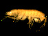  ( - TALOS02-27)  @13 [ ] CreativeCommons - Attribution (2010) Unspecified Centre for Biodiversity Genomics