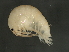  ( - TALQRLA-05)  @13 [ ] CreativeCommons - Attribution (2010) Unspecified Centre for Biodiversity Genomics