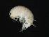  ( - TALQRLA-09)  @13 [ ] CreativeCommons - Attribution (2010) Unspecified Centre for Biodiversity Genomics