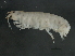  ( - TALQRMH-03)  @13 [ ] CreativeCommons - Attribution (2010) Unspecified Centre for Biodiversity Genomics