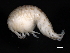  ( - BIOUG01329-F04)  @11 [ ] CreativeCommons - Attribution (2011) CBG Photography Group Centre for Biodiversity Genomics