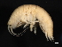  ( - BIOUG01329-F10)  @13 [ ] CreativeCommons - Attribution (2011) CBG Photography Group Centre for Biodiversity Genomics