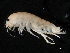  ( - TALBHGE-03)  @11 [ ] CreativeCommons - Attribution (2010) Unspecified Centre for Biodiversity Genomics