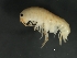 ( - L171AR1-01)  @13 [ ] CreativeCommons - Attribution (2012) CBG Photography Group Centre for Biodiversity Genomics
