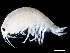  ( - EAVS2-02)  @11 [ ] CreativeCommons - Attribution (2021) CBG Photography Group Centre for Biodiversity Genomics