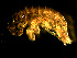  ( - EMK14-02)  @14 [ ] CreativeCommons - Attribution (2010) Unspecified Centre for Biodiversity Genomics