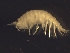  ( - L189AR1-02)  @13 [ ] CreativeCommons - Attribution (2010) Unspecified Centre for Biodiversity Genomics