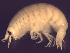 ( - L90AR1-03)  @13 [ ] CreativeCommons - Attribution (2010) Unspecified Centre for Biodiversity Genomics