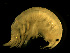  ( - L90AR11-04)  @13 [ ] CreativeCommons - Attribution (2010) Unspecified Centre for Biodiversity Genomics