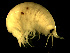  ( - L90AR8-02)  @13 [ ] CreativeCommons - Attribution (2010) Unspecified Centre for Biodiversity Genomics
