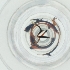  ( - WWTS_001_C5)  @11 [ ] by  Genome Research Ltd as Wellcome Sanger Institute Genome Research Limited operating as Wellcome Sanger Institute