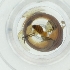  ( - WWTS_002_D8)  @11 [ ] by  Genome Research Ltd as Wellcome Sanger Institute Genome Research Limited operating as Wellcome Sanger Institute