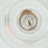  ( - WWTS_002_E11)  @11 [ ] by  Genome Research Ltd as Wellcome Sanger Institute Genome Research Limited operating as Wellcome Sanger Institute
