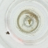 ( - WWTS_002_F10)  @11 [ ] by  Genome Research Ltd as Wellcome Sanger Institute Genome Research Limited operating as Wellcome Sanger Institute