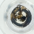  ( - WWTS_003_C3)  @11 [ ] by  Genome Research Ltd as Wellcome Sanger Institute Genome Research Limited operating as Wellcome Sanger Institute