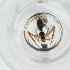 ( - WWTS_004_B5)  @11 [ ] by  Genome Research Ltd as Wellcome Sanger Institute Genome Research Limited operating as Wellcome Sanger Institute