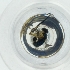  ( - WWTS_005_H2)  @11 [ ] by  Genome Research Ltd as Wellcome Sanger Institute Genome Research Limited operating as Wellcome Sanger Institute