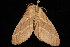  ( - 04HBL005085)  @13 [ ] CreativeCommons - Attribution (2010) Unspecified Centre for Biodiversity Genomics