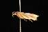  ( - 04HBL005102)  @12 [ ] CreativeCommons - Attribution (2010) Unspecified Centre for Biodiversity Genomics