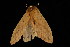  ( - 04HBL005183)  @13 [ ] CreativeCommons - Attribution (2010) Unspecified Centre for Biodiversity Genomics