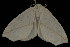  ( - 04HBL005225)  @14 [ ] CreativeCommons - Attribution (2010) Unspecified Centre for Biodiversity Genomics