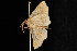  ( - 04HBL005332)  @12 [ ] CreativeCommons - Attribution (2010) Unspecified Centre for Biodiversity Genomics