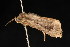  ( - 04HBL005410)  @12 [ ] CreativeCommons - Attribution (2010) Unspecified Centre for Biodiversity Genomics