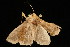  ( - 04HBL005466)  @13 [ ] CreativeCommons - Attribution (2010) Unspecified Centre for Biodiversity Genomics