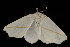  ( - 04HBL005512)  @13 [ ] CreativeCommons - Attribution (2010) Unspecified Centre for Biodiversity Genomics