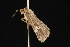  ( - 04HBL005600)  @12 [ ] CreativeCommons - Attribution (2010) Unspecified Centre for Biodiversity Genomics
