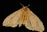  ( - 04HBL005622)  @13 [ ] CreativeCommons - Attribution (2010) Unspecified Centre for Biodiversity Genomics